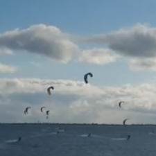 Kiter auf Fehmarn