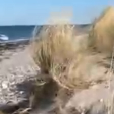 NORDHORE Logo in rund